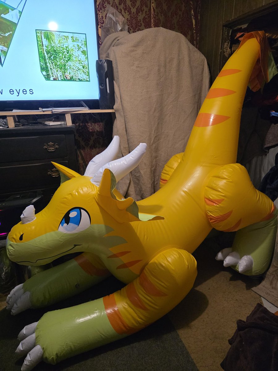 SqueakyHawk's tweet photo. Thx myth for these two adorable dragons.  Cheddar and Colby so glad they are home. https://t.co/EiToFn4cC1