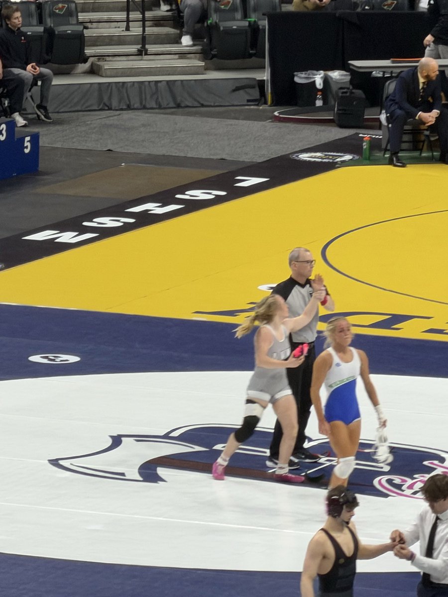 Maple Lake Irish AD tweet media