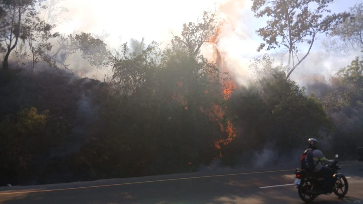 #Nacional | PNC orienta tránsito en la Panamericana por incendio de maleza

El paso vehicular es regulado en el km 43 ½ de la carretera Panamericana, en el sentido de San Salvador hacia Santa Ana, tras un incendio en maleza seca.

La Policía coordina con las entidades