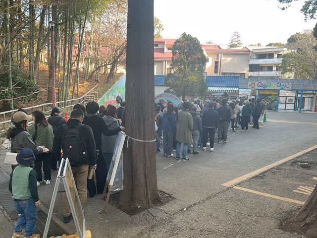 The lines for punch continue to be long. The most famous animal ever.