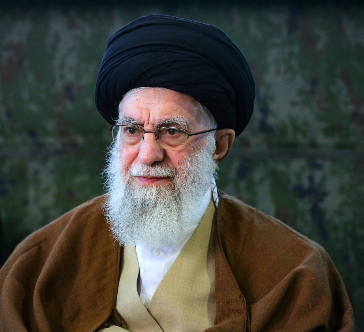 callmemeesha's tweet photo. @cb_doge Long live khamenai ❤️ https://t.co/vQ0Ei4zWgF