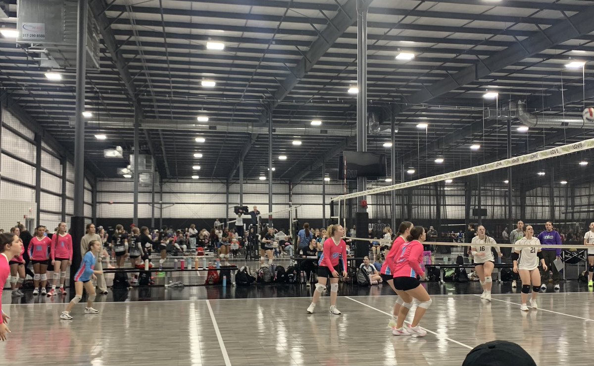 Michaela Knight tweet media