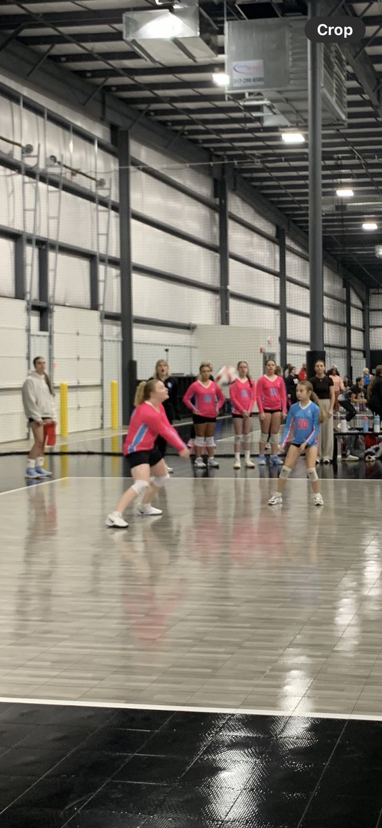 Michaela Knight tweet media