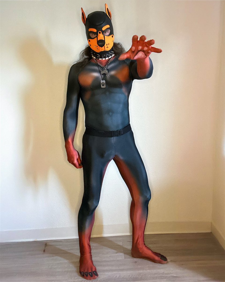 PupJedi (2k) tweet media