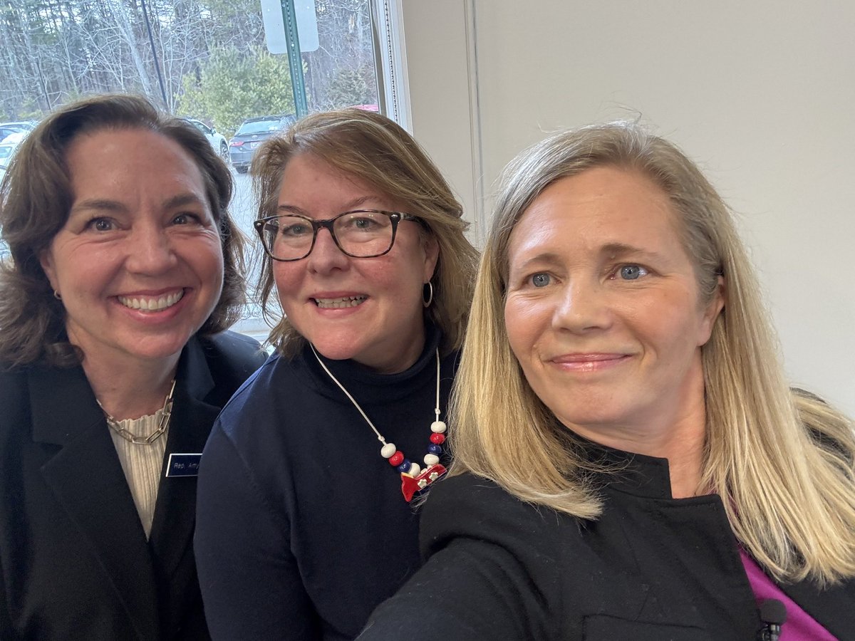 Hannah Pingree tweet media