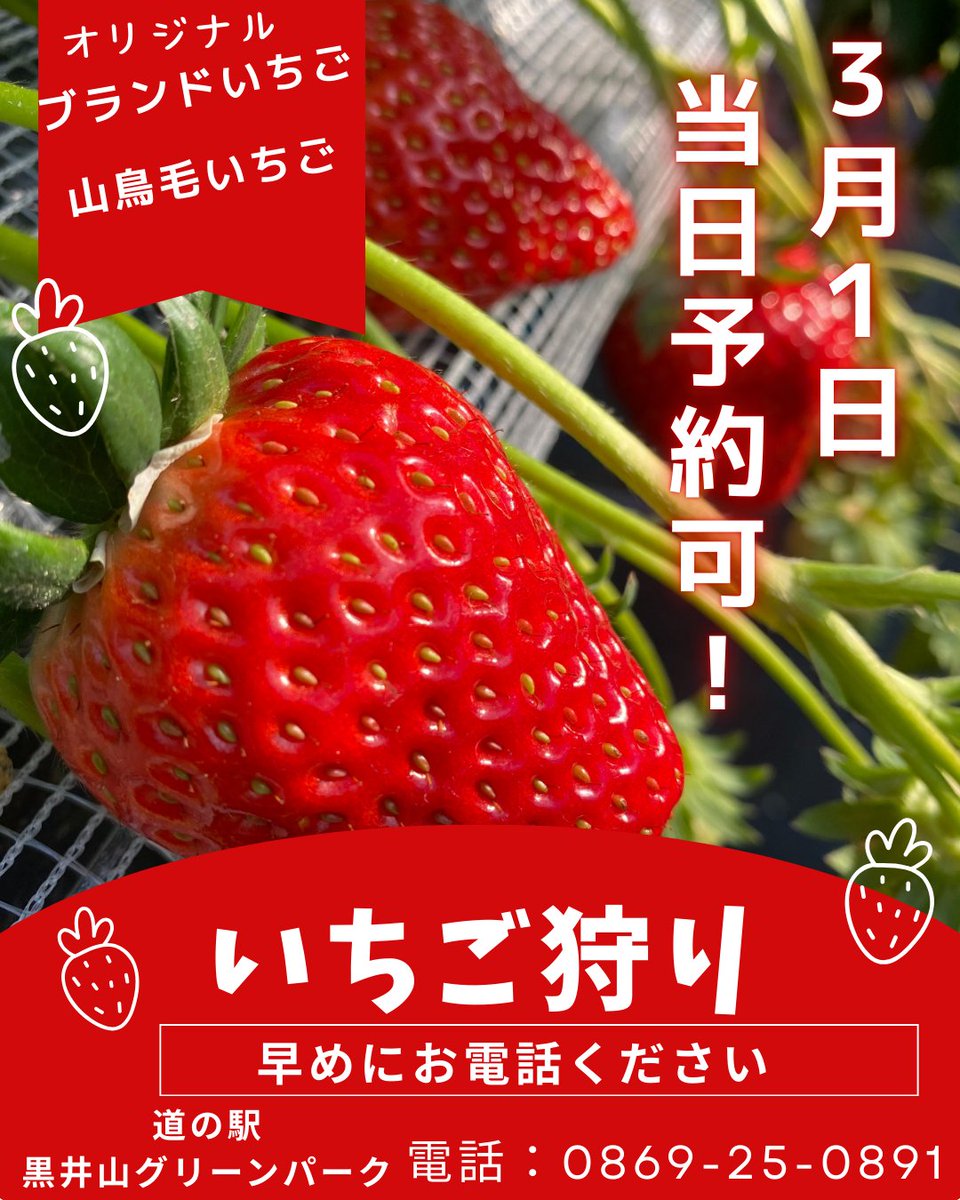おはようございます😁 本日いちご狩り当日予約可能です🍓 数に限りが