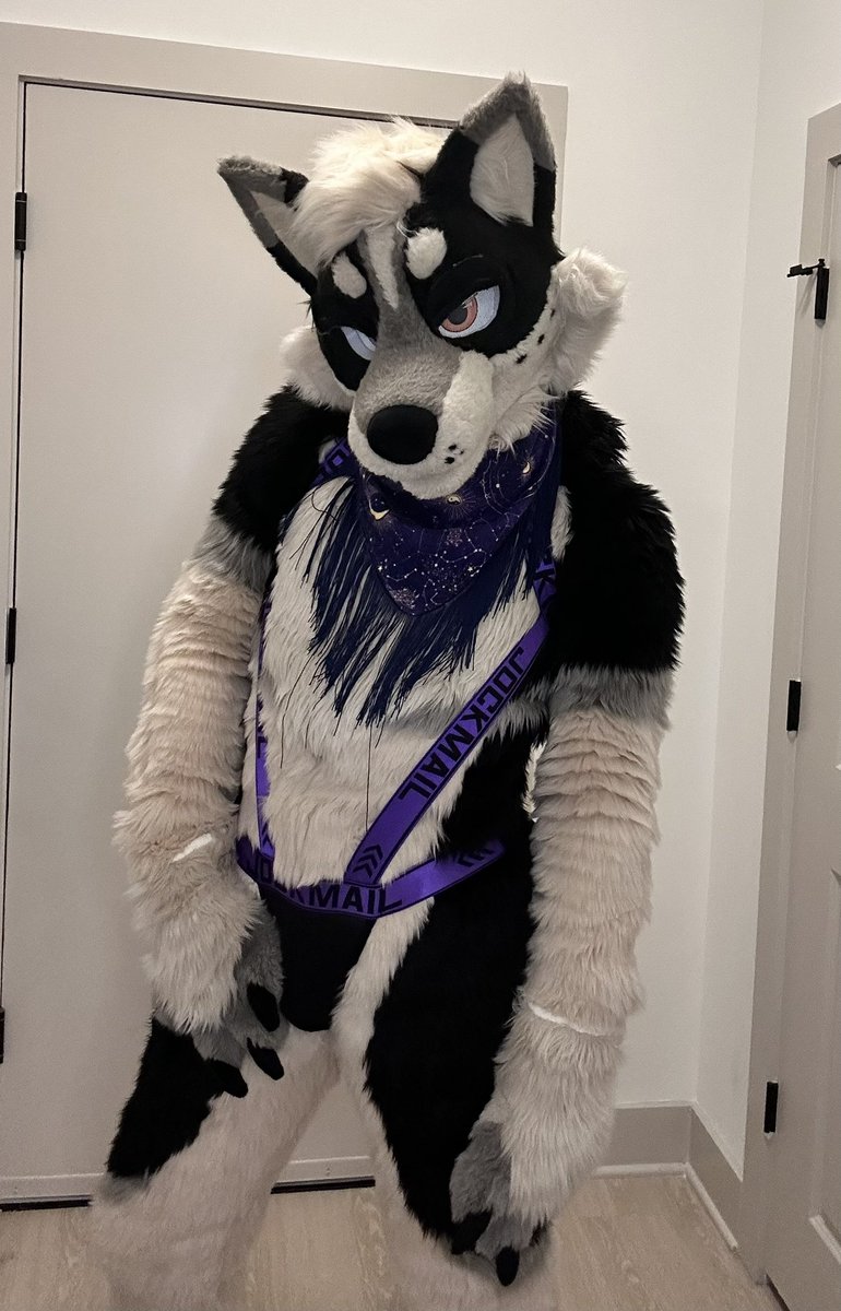 Ziggy Zaggy tweet media