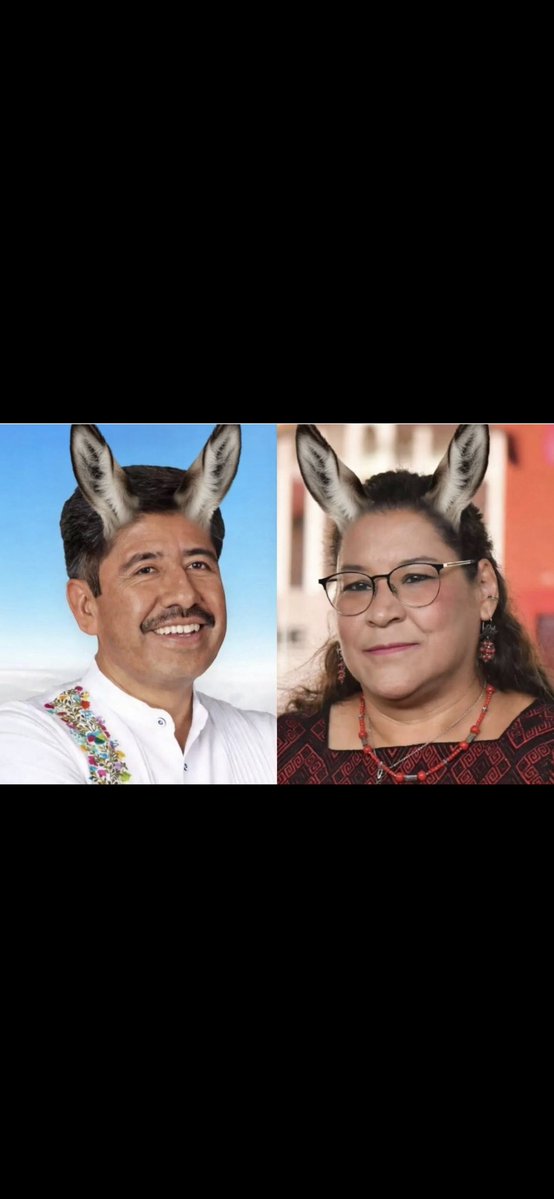 CON LOS ACORDEONES SALIERON ESTOS DOS BURROS 🫏 QUÉ LES PARECE?