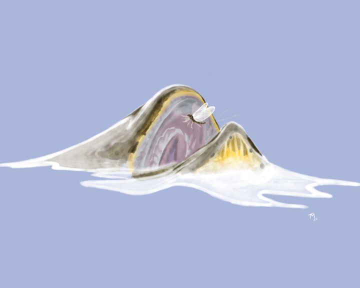 Tony McCall tweet media