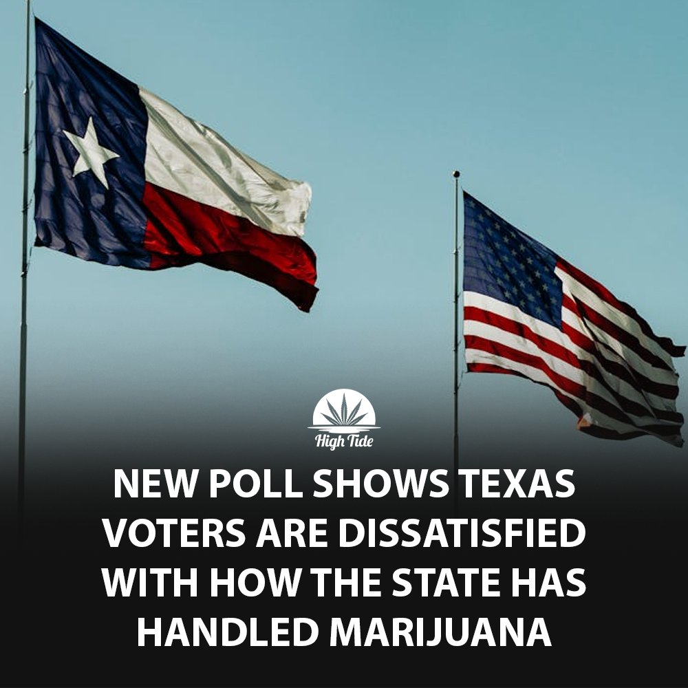 🚨: A new poll shows Texas voters disapprove of state officials' handling of marijuana and THC issues...

40% of voters polled said that they disapproved oof how their elected officials have approached Marijuana and THC issues.

Meanwhile, 29% said that they approved how Texas