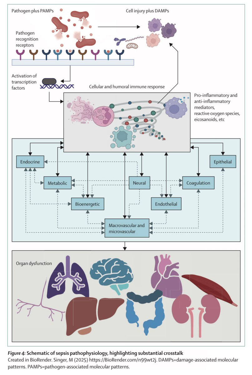 AliSMV7's tweet photo. 🔺Sepsis (The Lancet Seminar)

🙂

https://t.co/PCJktm6OlG https://t.co/y1J0V4xIf5