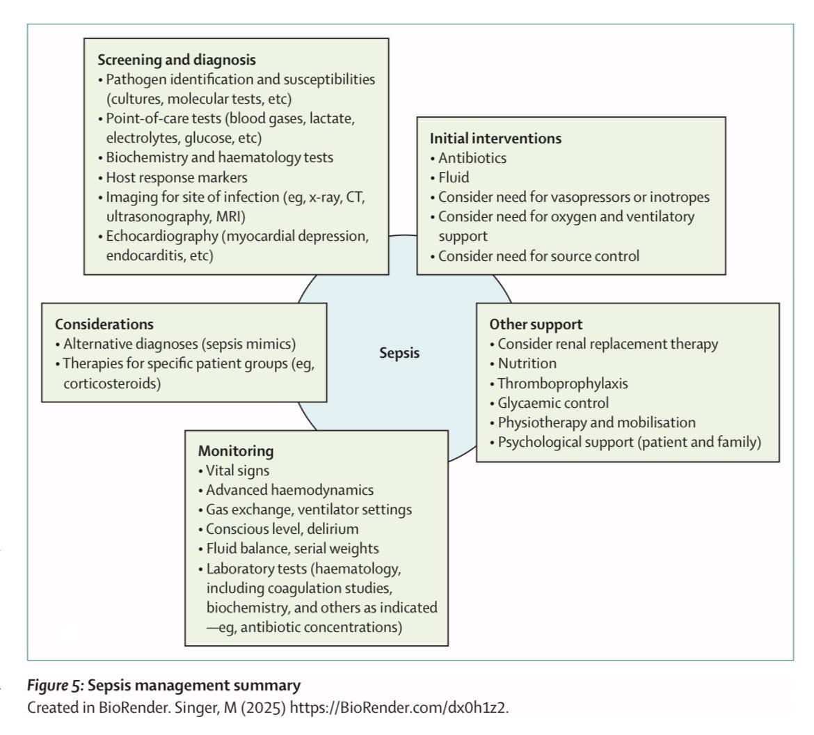 AliSMV7's tweet photo. 🔺Sepsis (The Lancet Seminar)

🙂

https://t.co/PCJktm6OlG https://t.co/y1J0V4xIf5