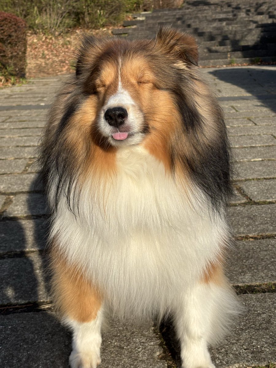 3月になりました