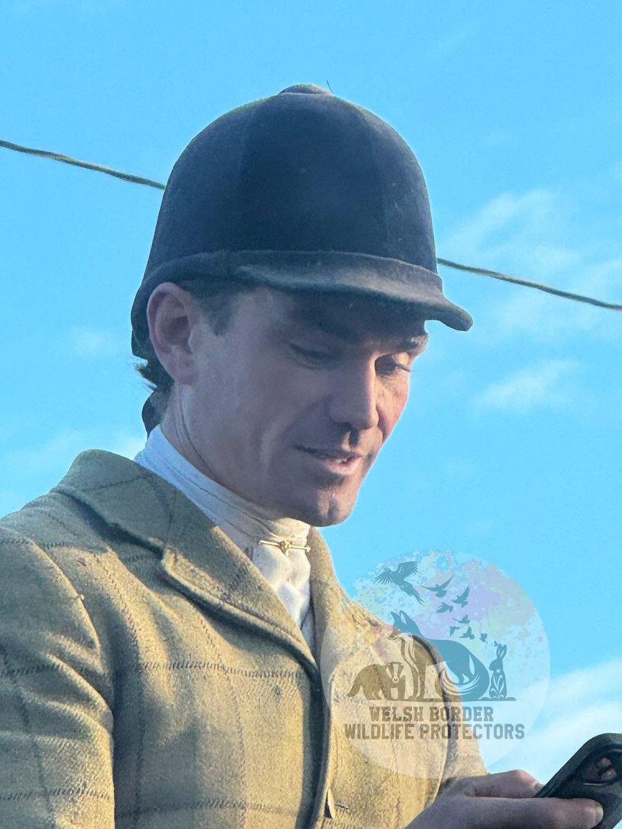 Welsh Border Wildlife Protectors tweet media