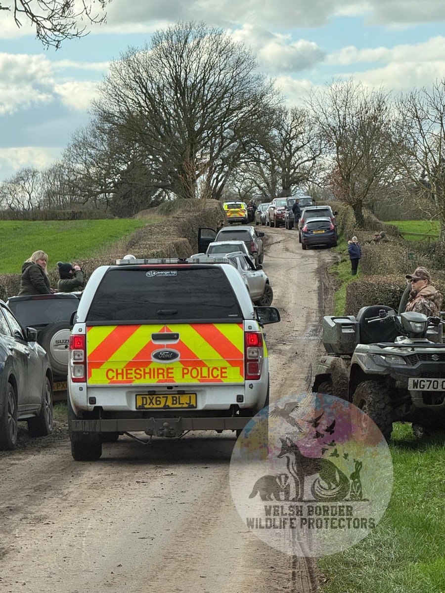 Welsh Border Wildlife Protectors tweet media