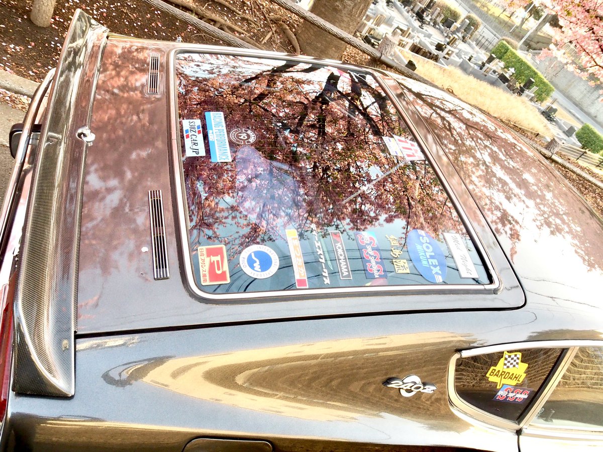 yasaimeijin0240's tweet image. 綾瀬市の河津桜が一気に満開。🌸🥰
気付けば3月…。もの凄いスピードで時が流れて行く…。⚡️
#s30z #240z #河津桜 #綾瀬市