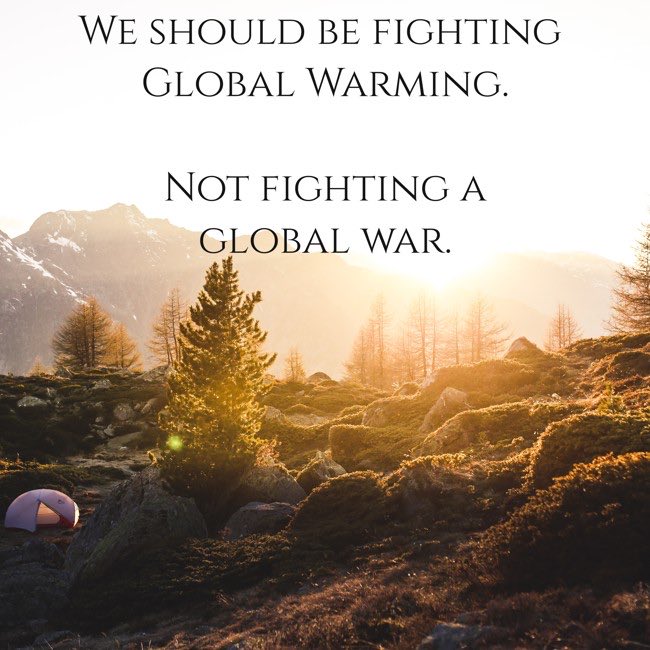 ValleyCat tweet media