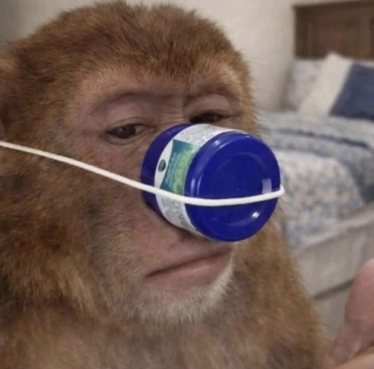 2014 HONDA CIVIC tweet media