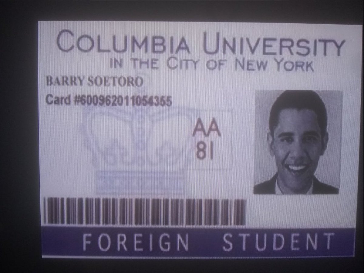 Elite Light tweet media