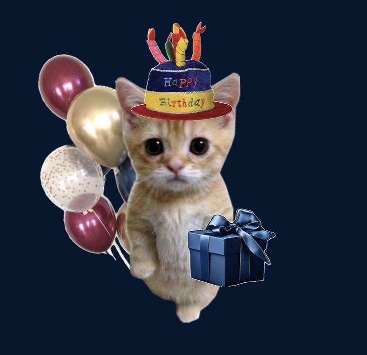 Kayoung, Mun. tweet media