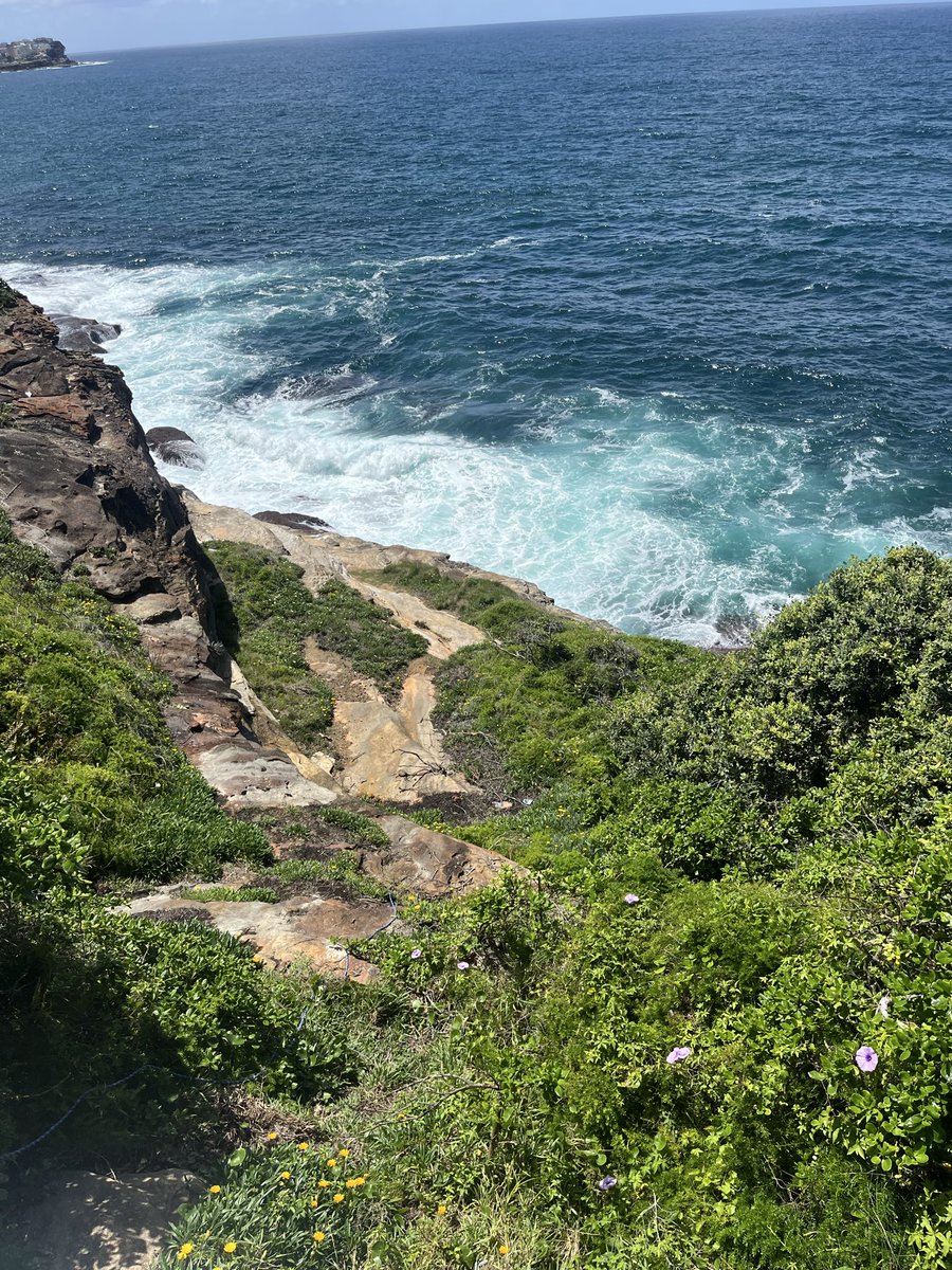 Jacob Edenhofer 🇪🇺 🇺🇦 tweet media