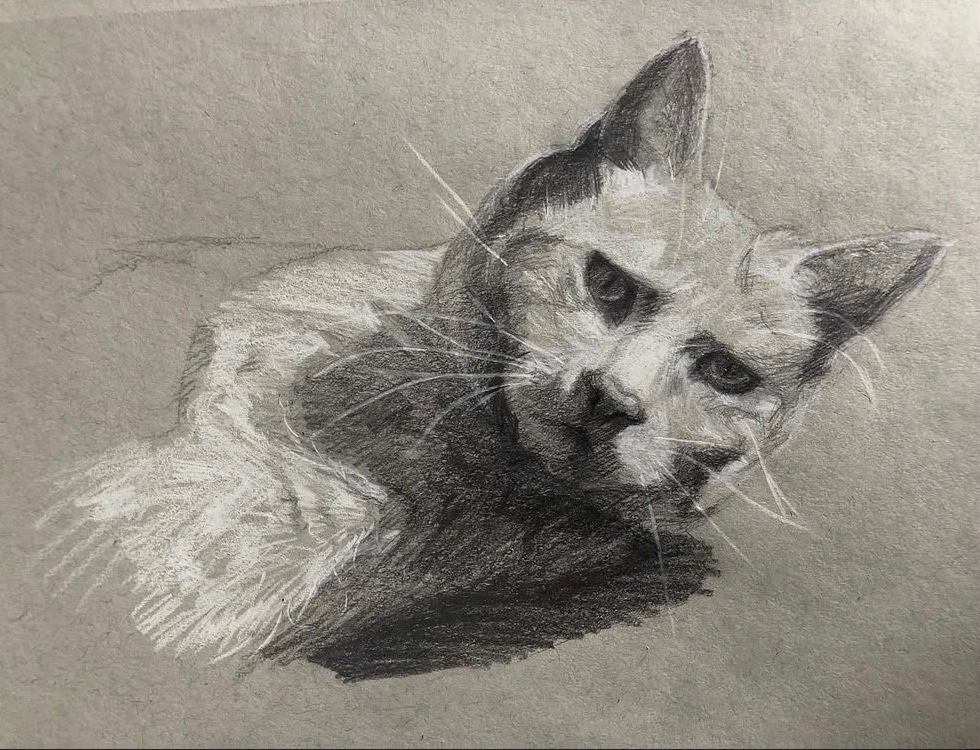 Frrrrrrrrrog's tweet photo. mini art dump cause i haven't posted in a while and i've improved by leaps and bounds https://t.co/SpHIgazF0A