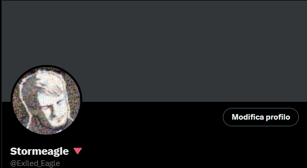 NotStormeagle tweet media