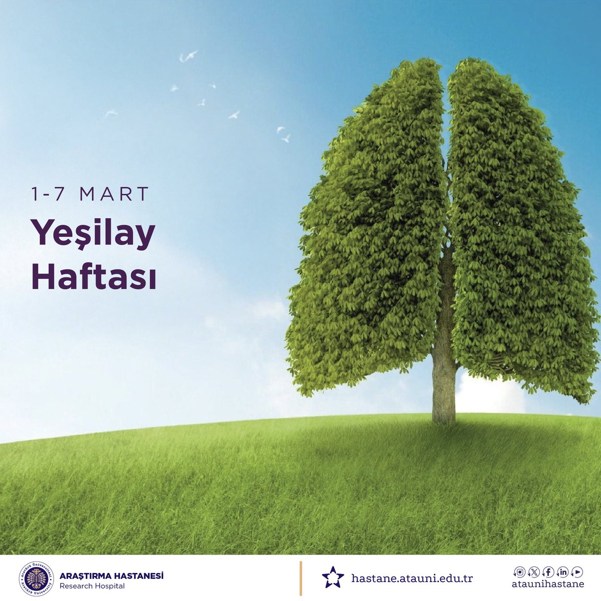 Yeşilay Haftası, bağımlılıkla mücadelenin ve sağlıklı yaşam bilincinin önemini hatırlatır. Tütün, alkol ve madde bağımlılığına karşı bilinçli olmak; sağlıklı nesiller için güçlü bir adımdır. Sağlığınızı koruyun, bağımlılıklara hayır deyin.

<a href="/atauni1957/">Atatürk Üniversitesi</a>

#YeşilayHaftası