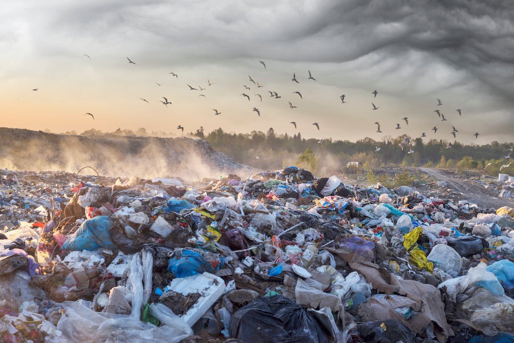 AnnaKavanaugh's tweet photo. Recycling failure is more than inefficiency. It's about habitability and health. #Plastics are a driving critical force in ecological, biological, #climate collapse. We cannot treat symptoms as poor end management. We must end them. #environment 🌎 

https://t.co/sKqe2JEo7O https://t.co/iejT5hmCm1