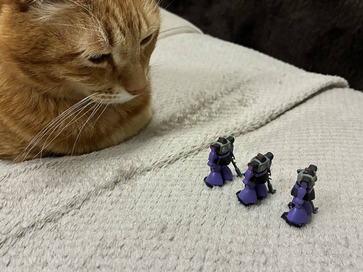 ねことプラモデル (@catandplamo) on Twitter photo 