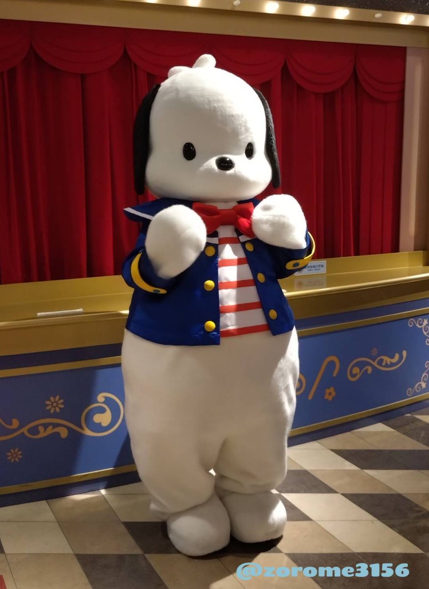 zorome3156's tweet photo. 昨日はポチャッコくんに会いに行きました!✈️🐾
たくさん遊んでくれてありがとう❣️
そして、お誕生日おめでとう💐✨️
またね〜〜〜🫶
#ハローキティハッピーフライト #hellokittyhappyflight
#新千歳空港 #ポチャッコ
#ポチャッコ生誕祭2026 https://t.co/0m3cwtxGGm