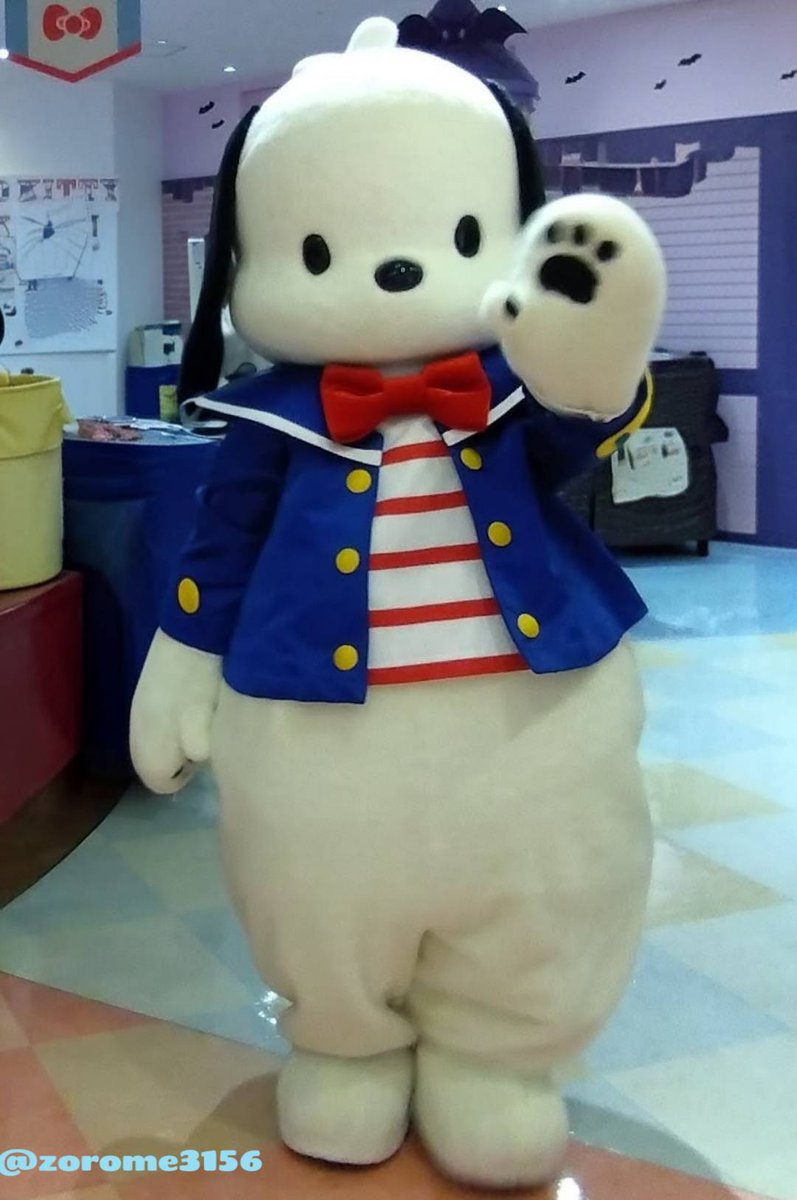 zorome3156's tweet photo. 昨日はポチャッコくんに会いに行きました!✈️🐾
たくさん遊んでくれてありがとう❣️
そして、お誕生日おめでとう💐✨️
またね〜〜〜🫶
#ハローキティハッピーフライト #hellokittyhappyflight
#新千歳空港 #ポチャッコ
#ポチャッコ生誕祭2026 https://t.co/0m3cwtxGGm