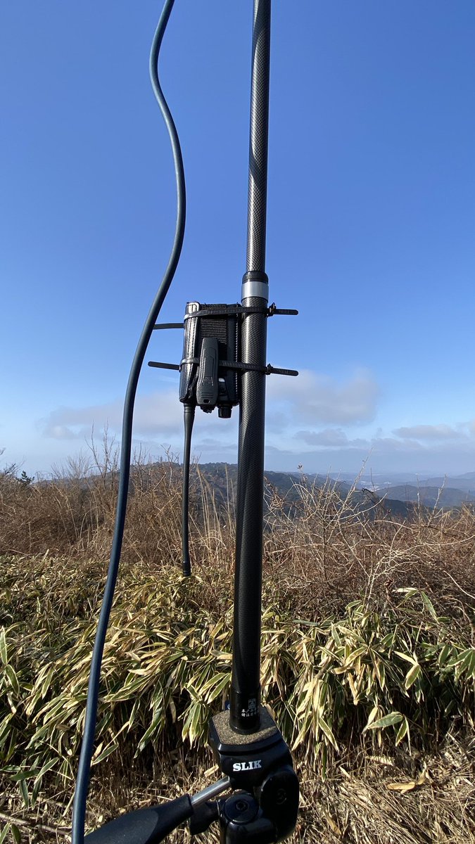 なしつばめ（6歳）/きょうとSH208/JQ3KEM tweet media