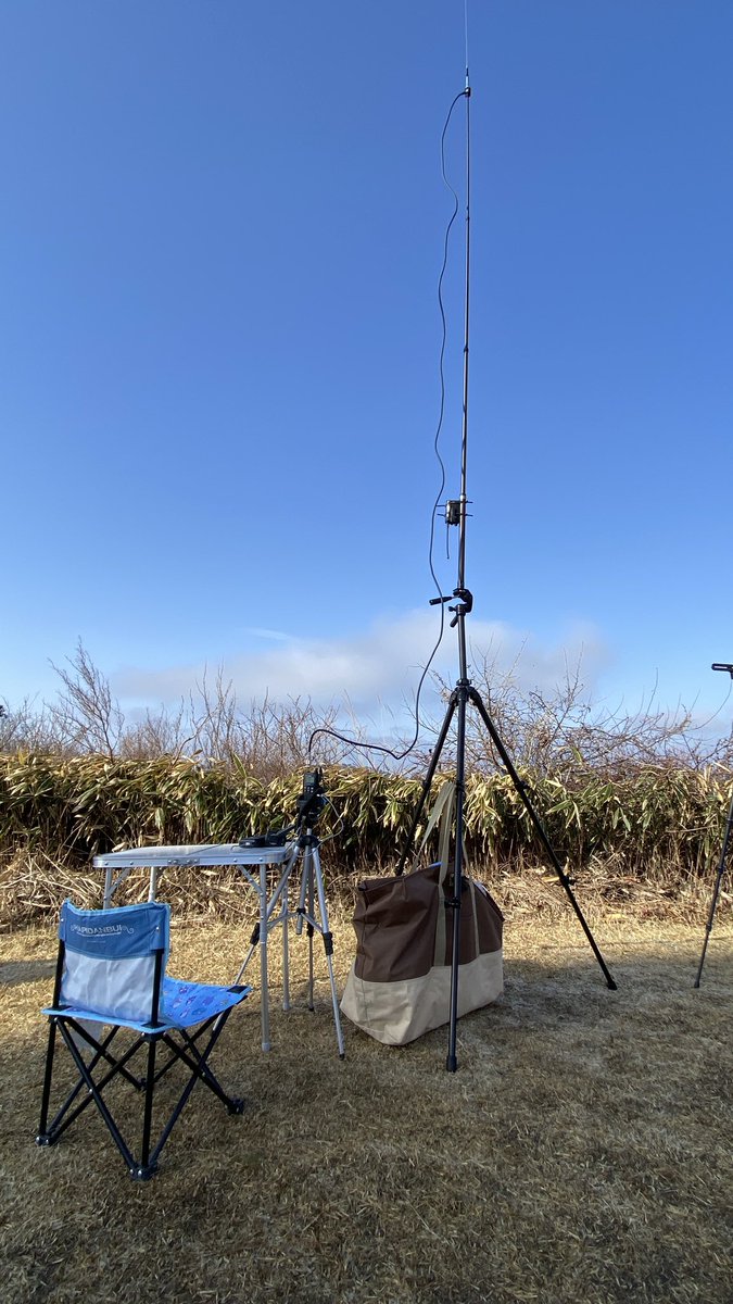 なしつばめ（6歳）/きょうとSH208/JQ3KEM tweet media