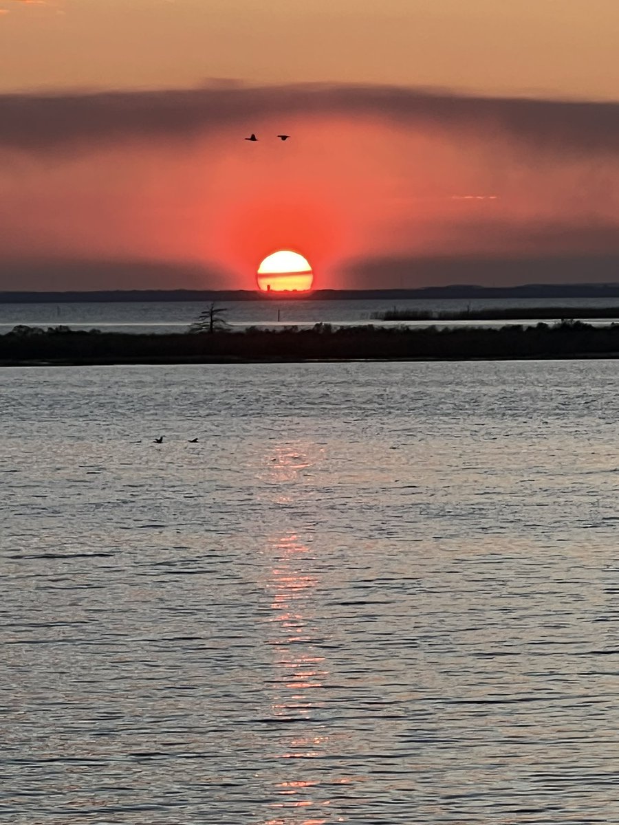 Coast Girl tweet media