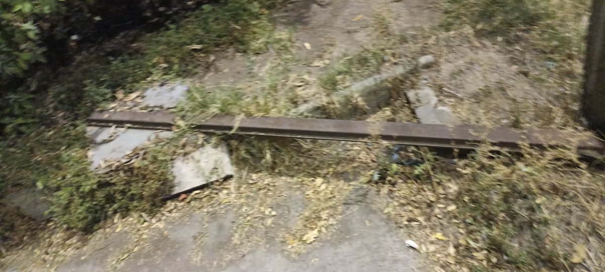 Xavier Chao tweet media