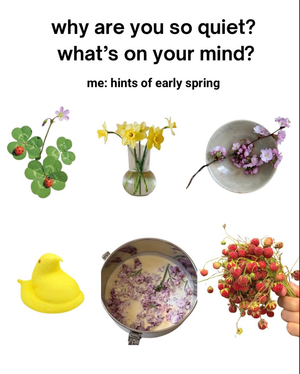 The Notorious J.O.V. (@whotfisjovana) on Twitter photo 