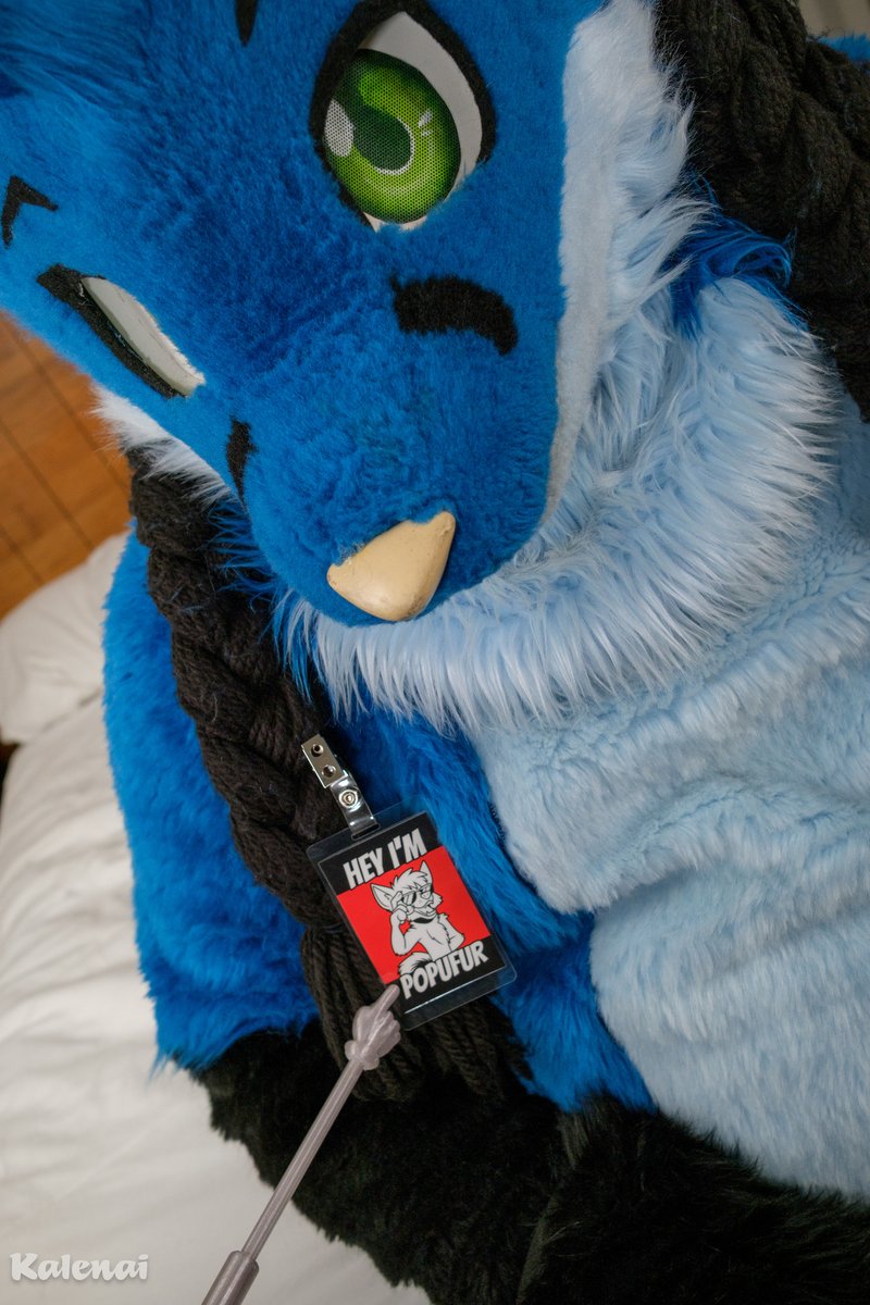 DJ Nightfire ▶NYE tweet media