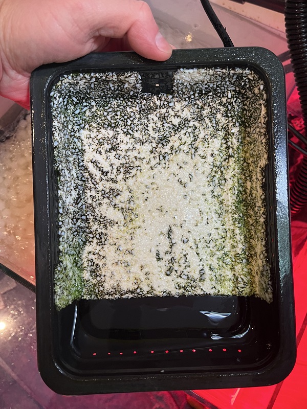 SantaMonicaFil's tweet photo. This HOG2 looks like it had a good cleaning to get thick slime brushed off. Always want to remove most of the slime, because it filters great but does not hold on well; the Green Grabber surfaces hold much better than plastic canvas knitting screens in waterfalls however. https://t.co/TmLXjlo4PA