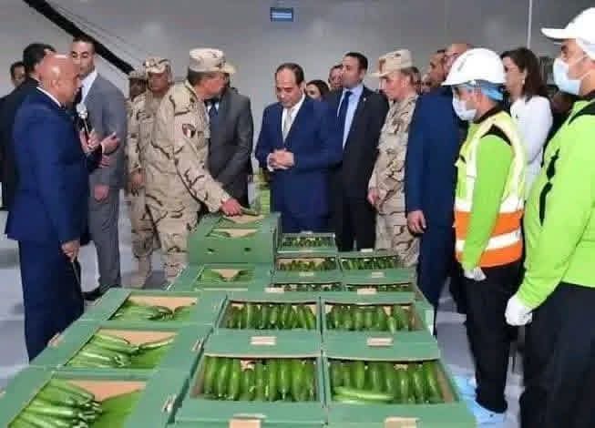 السيسي : كل الخيارات مطروحة