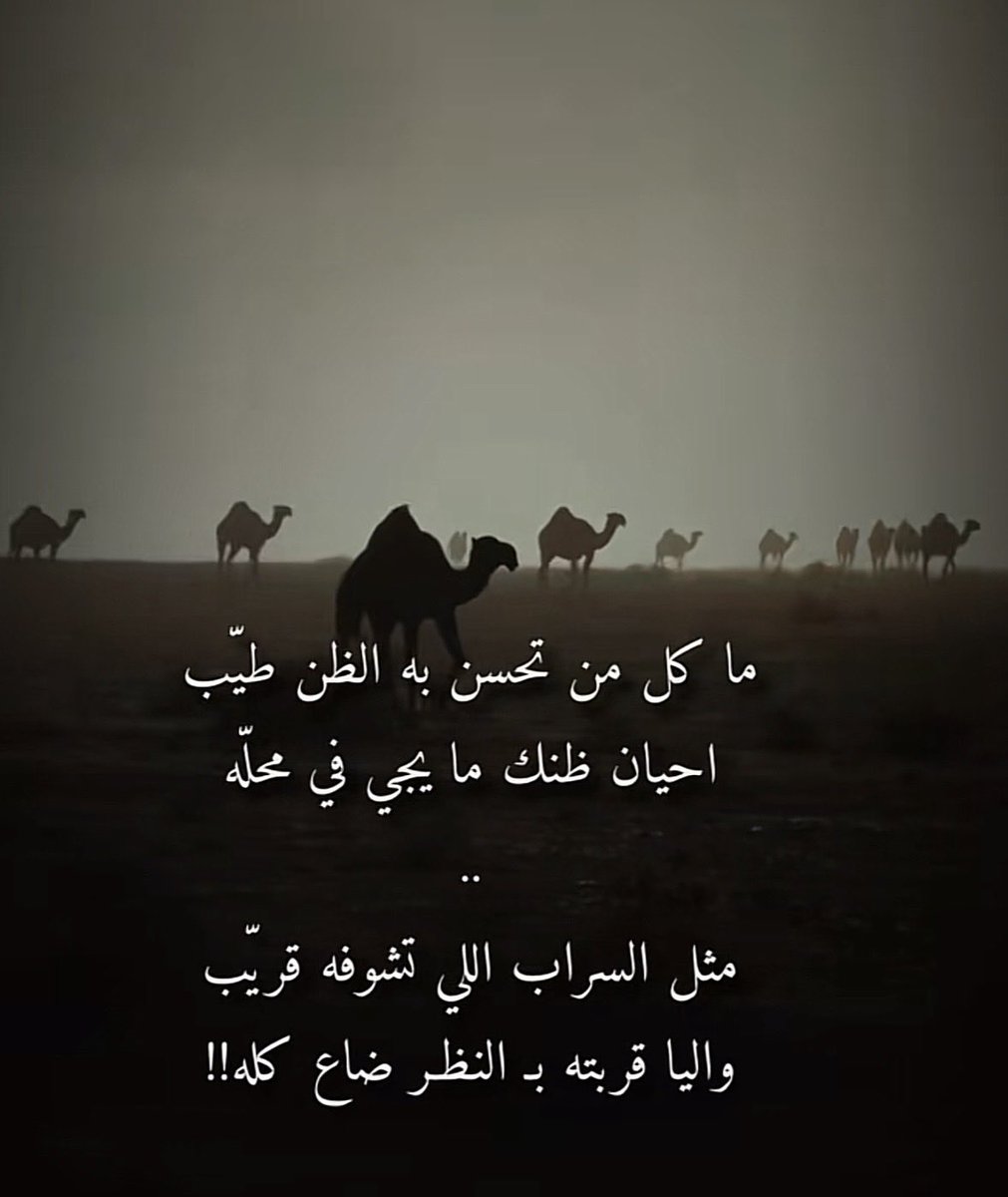 vip خاص نوادرالابل (@vib151515) on Twitter photo 