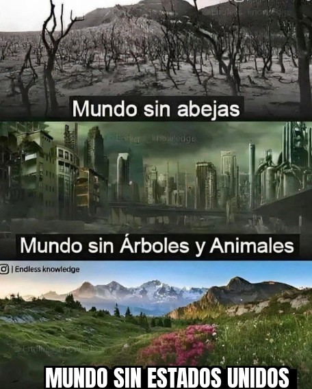 El crítico crítico ☭ tweet media