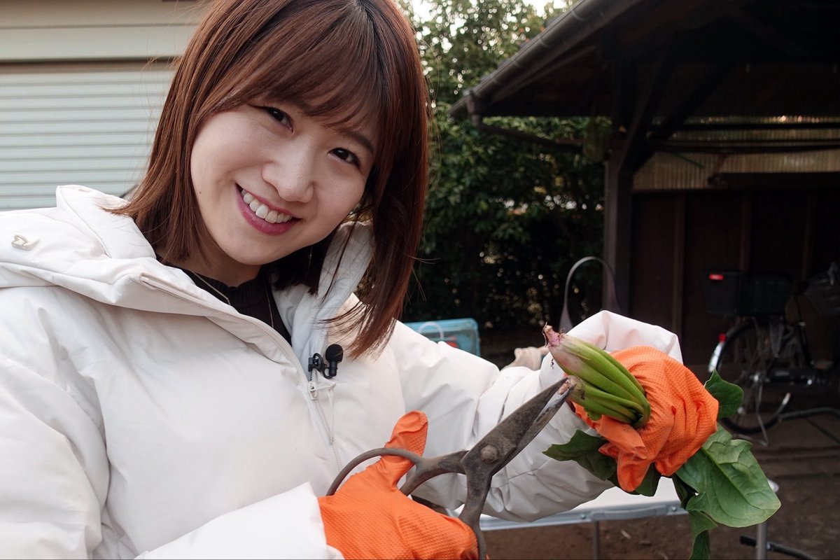 今日の #たいあん吉日おかしら付き は久しぶりにじゃがいも倶楽部の活動🥔
井口さんの畑でほうれん草の収穫や袋詰めをさせて頂きました🥬

そしてエンディングでお伝えした通り、3月末で番組を卒業します！👩‍🎓
#経済クン も3月末までの担当となります🙏
どちらも5年半も続けさせて頂き感謝です…！