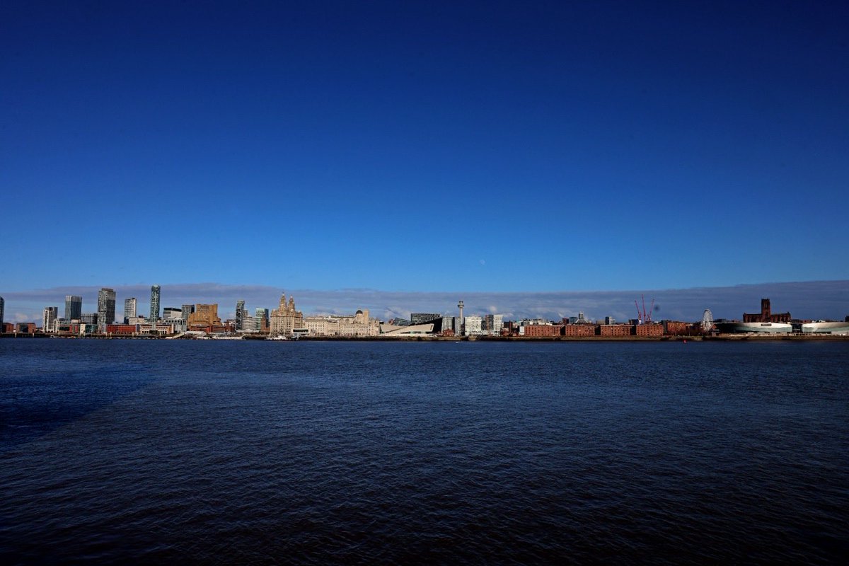 Colin Lane tweet media