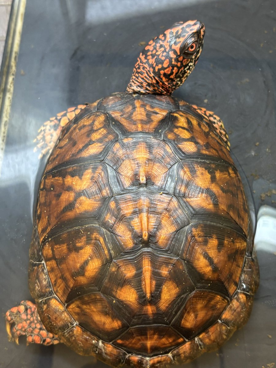 Land-mark tweet media