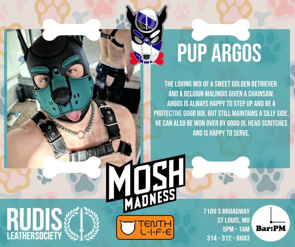Our First Pet up for adoption is our very own PUP ARGOS! Grab up your chance to adopt for an hour of service @ Bar:PM <a href="/9pm/">9pm</a> on March 21st at Mosh Madness!