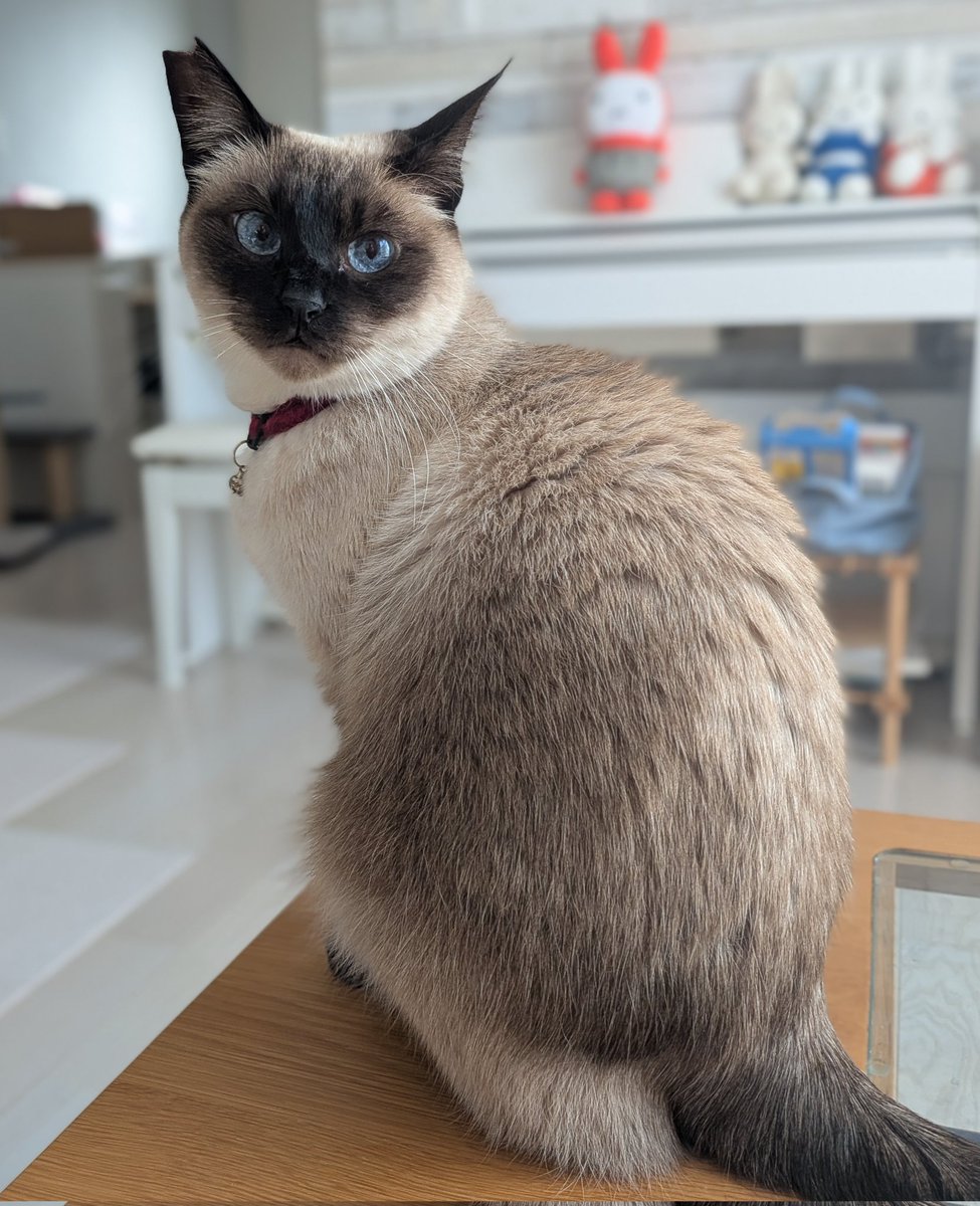 パリピア😻✨ (@NW6hX5NzGOqMVAw) / Posts / X