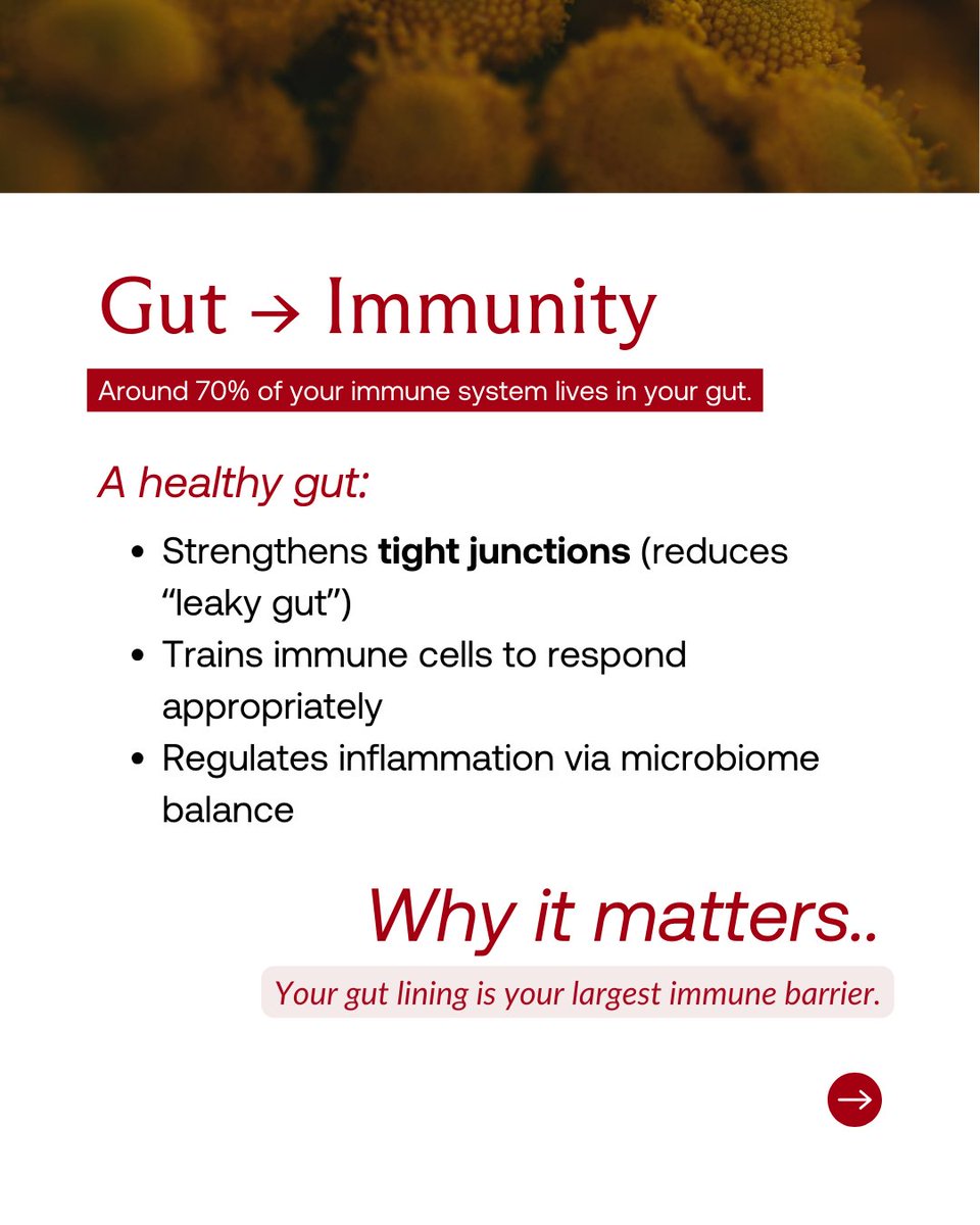im8health's tweet photo. Your gut does more than digest food.

It regulates inflammation.
It fuels your cells.
It trains your immune system.
When your gut is off, energy drops.
Support your gut, and everything works better.

IM8 is built for that connection.
Real energy starts in the gut.
#im8 #im8health #guthealth #digestivehealth #microbiome #immunity
