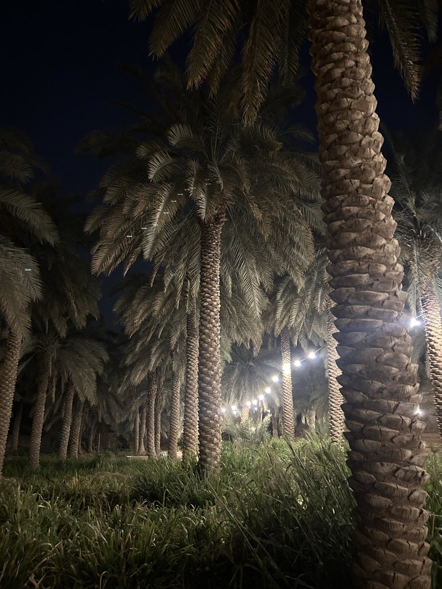 _Jenan_20_'s tweet photo. Ramadan night 🌙 https://t.co/OMeTau0f8W