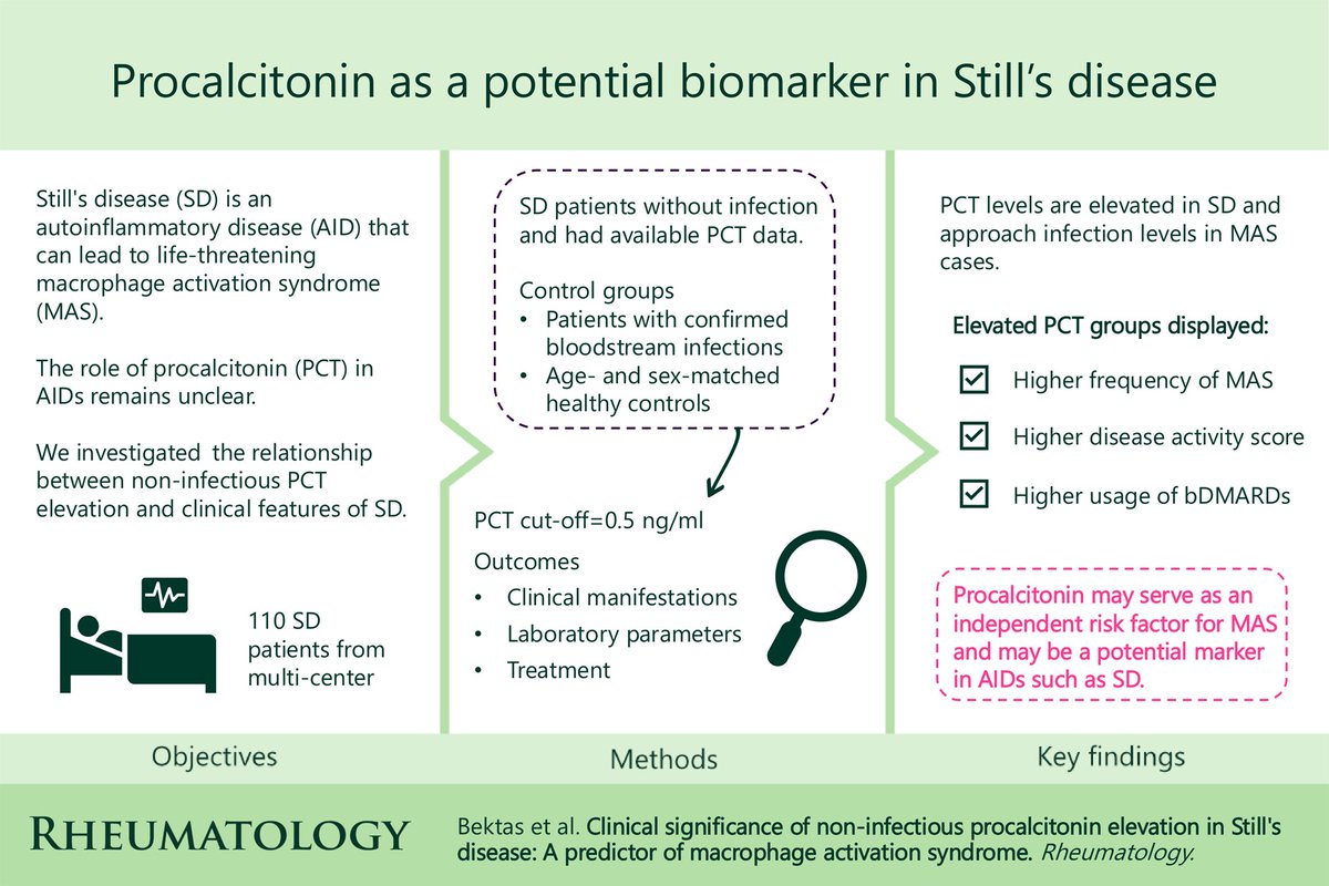 alb_giraldo's tweet photo. #Procalcitonin (PCT) may be a potential inflammatory marker in the course of Still’s disease (SD), as demonstrated by a retrospective study that included 110 patients with SD and absence of infection: 

◦ PCT levels were significantly higher than in healthy controls and nearly as high in macrophage activation syndrome (MAS) cases as in confirmed infections.

◦ 32% had baseline PCT ≥0.5 ng/ml; 43% had peak PCT ≥0.5 ng/ml.

◦ Elevated PCT (≥0.5) was strongly linked to:
  - Higher frequency of MAS
  - Higher mPouchot scores
  - Greater use of biologics (especially anakinra)
  - Laboratory signs of severe inflammation (thrombocytopenia, ↑ AST/LDH/CRP/ferritin, ↓ albumin)

◦ MAS risk was independently increased:
  - ~4.3-fold (baseline PCT ≥0.5)
  - ~5.4-fold (peak PCT ≥0.5), after multivariate adjustment

◦ PCT normalized with immunosuppressive treatment.

Although PCT cannot be used to distinguish active SD from infection, these findings suggests that increased PCT levels in patients with SD are associated with a severe inflammatory response. PCT may also serve as a potential independent predictor of MAS and could be considered a convincing marker in the assessment of non-infectious inflammation. 

*Bektas E, Uludogan BC, Firlatan Yazgan B, et al. Clinical significance of non-infectious procalcitonin elevation in Still's disease: a predictor of macrophage activation syndrome. Rheumatology (Oxford). 2026;65(2):keaf575. 
🔗https://t.co/ENd2yobI4B